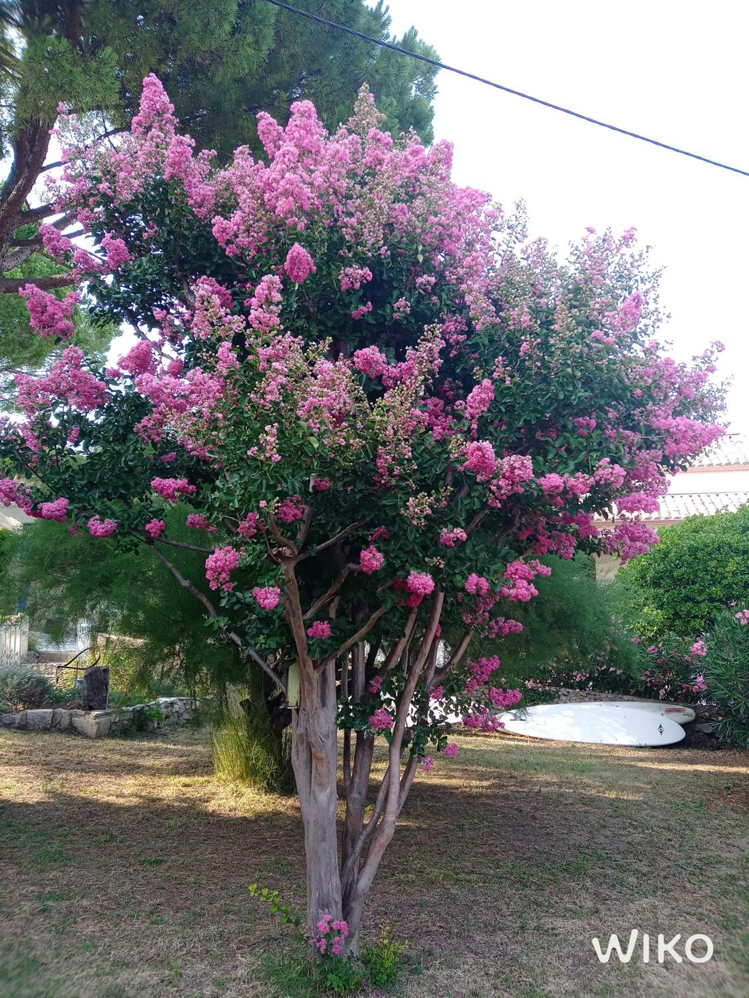 Au Fil De Soi Villa Saint-Julien-de-Peyrolas ภายนอก รูปภาพ